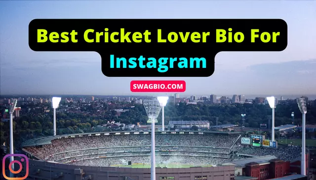 Best Cricket Lover Bio For Instagram