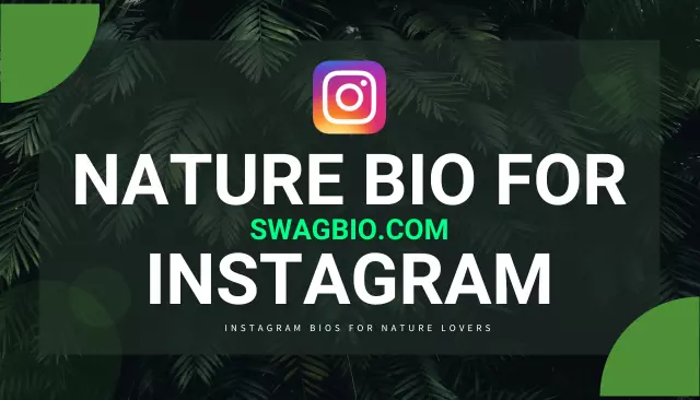 500+ Best Nature Bio for Instagram | Instagram Bios for Nature Lovers
